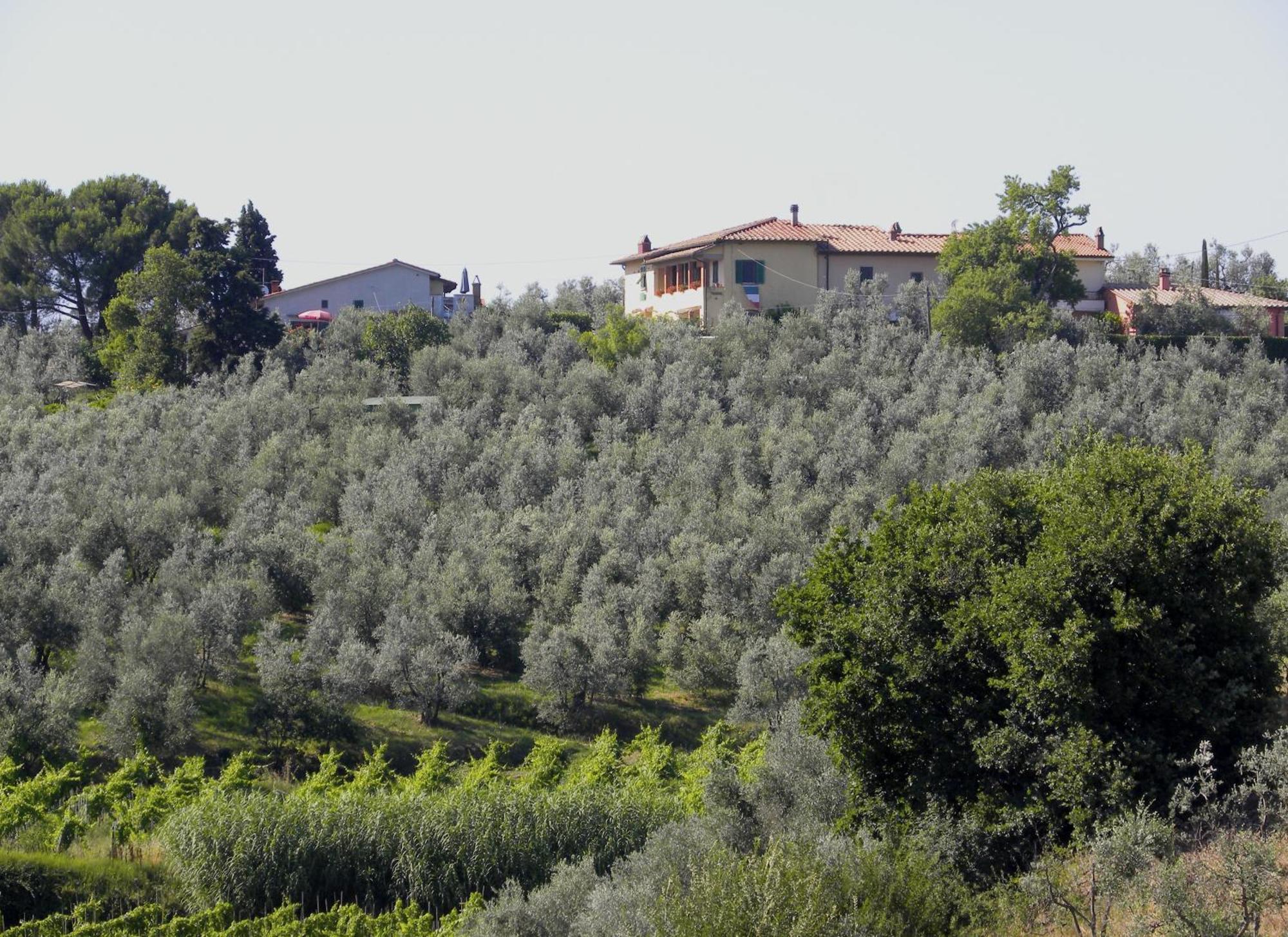 Agriturismo Podere Zollaio Βίντσι Δωμάτιο φωτογραφία