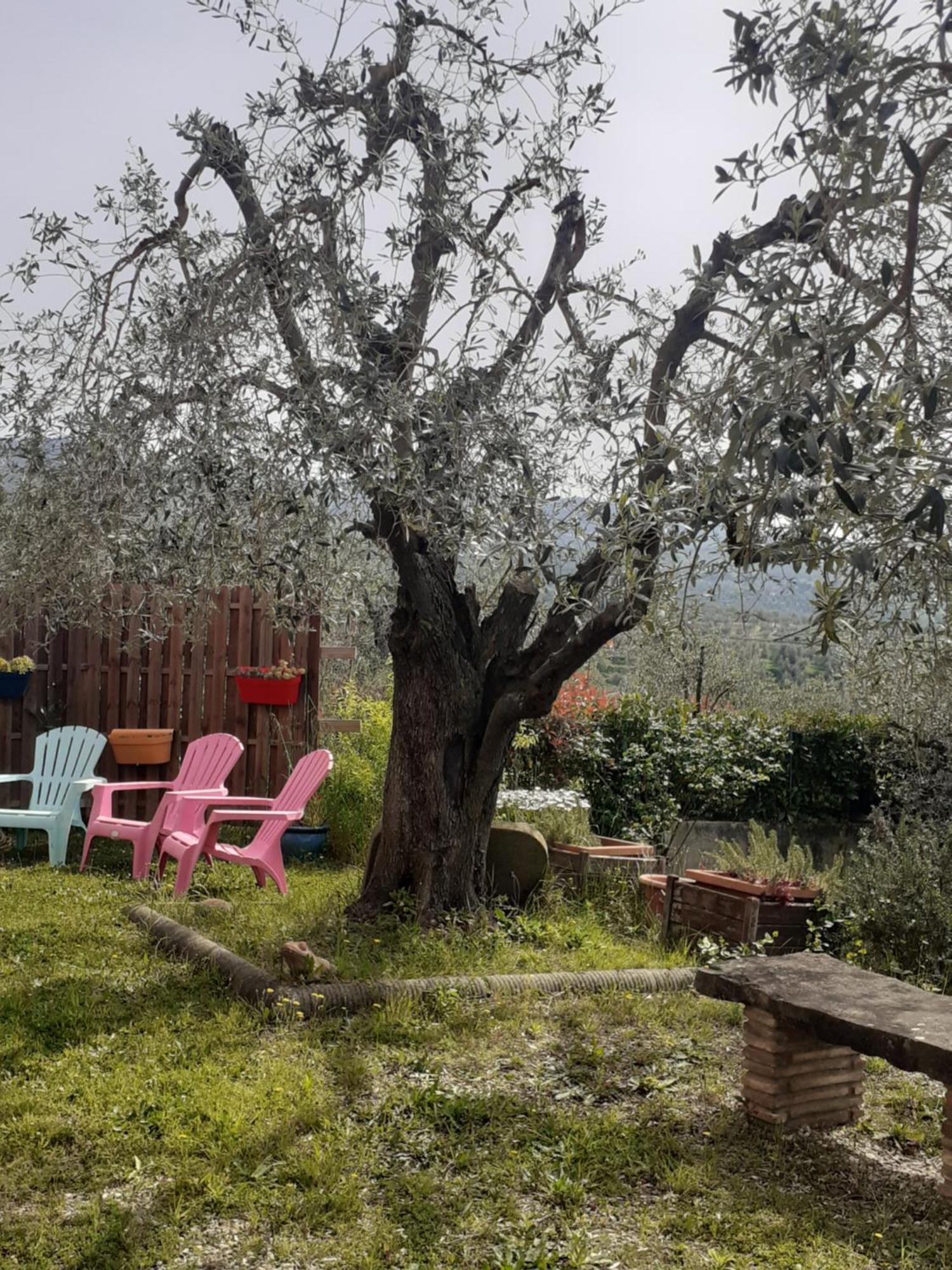 Agriturismo Podere Zollaio Βίντσι Εξωτερικό φωτογραφία
